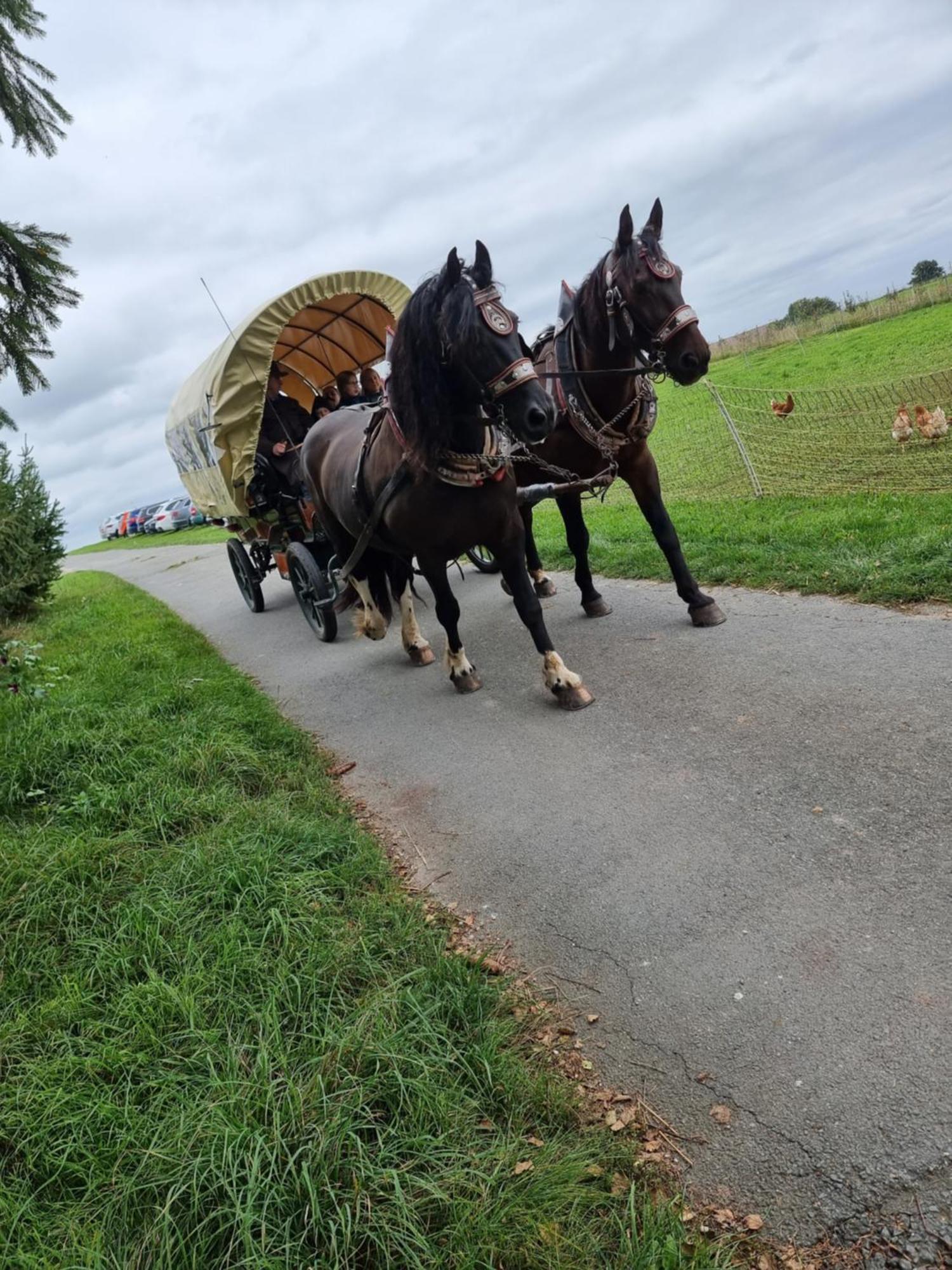 Regenbogenhof Rudelswalde 호텔 크림미트샤우 외부 사진